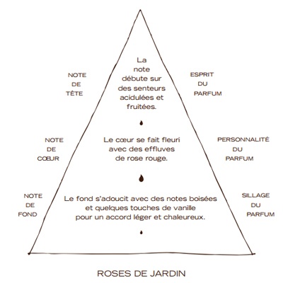 pyramide-olfactive-rose